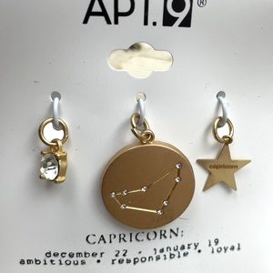 APT. 9 Capricorn Charms NWT